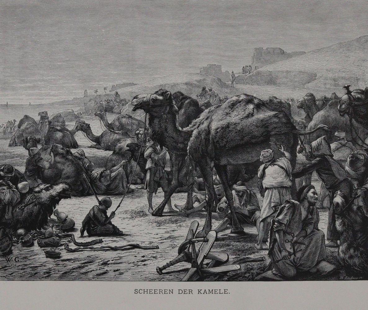 Große Abbildung Nr.6: 145-1619 Ebers,G.: (Afrika, Ägypten)
