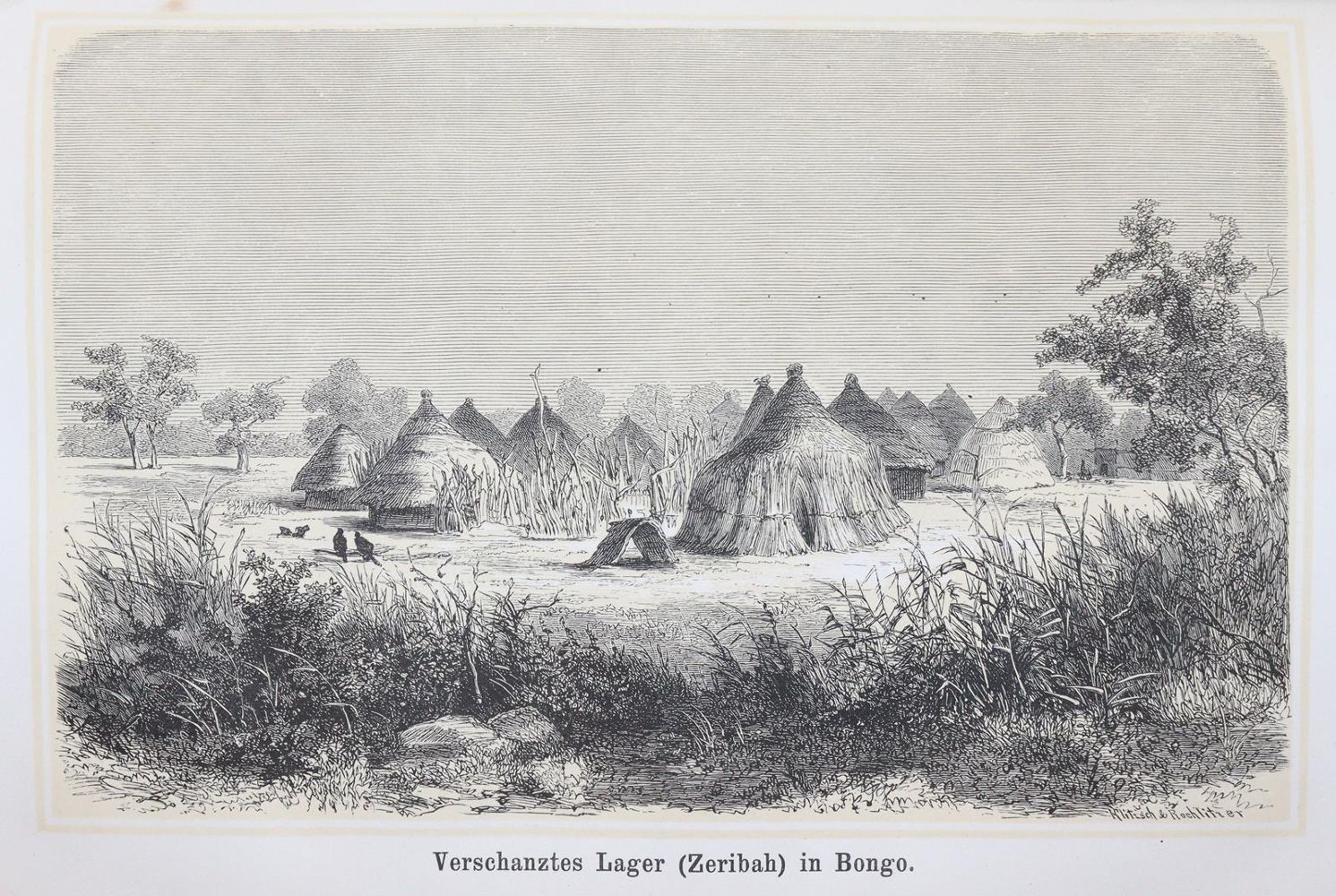 Heuglin, M.T.v. – Reise in das Gebiet des Weißen Nil und seiner westlichen Zuflüsse in den Jahren 1862-1864