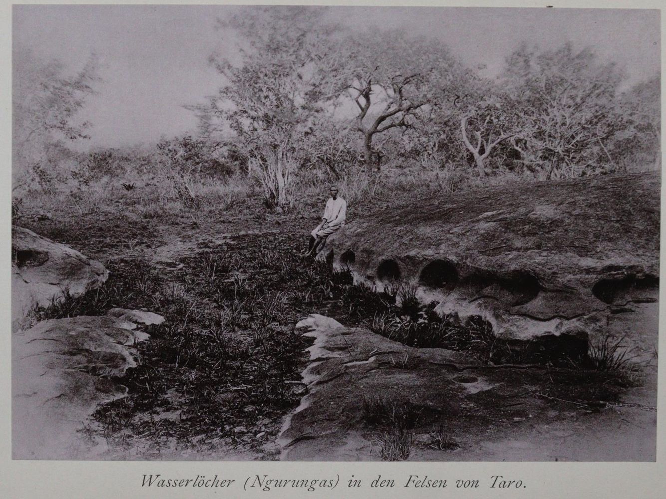 Große Abbildung Nr.2: 145-1628 Meyer,H.: (Afrika)
