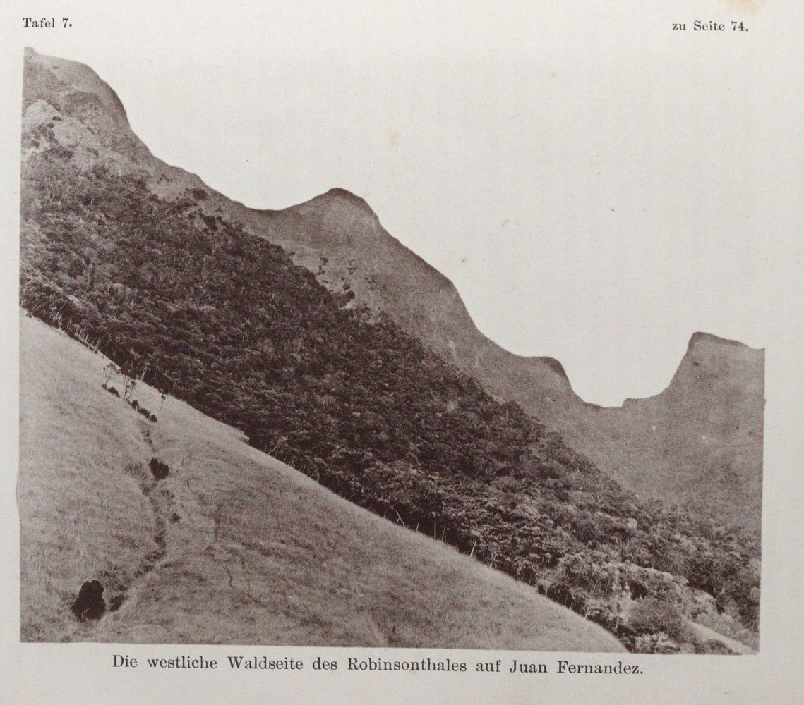 Große Abbildung Nr.3: 145-1636 Ermel,A.: (Amerika, Chile)