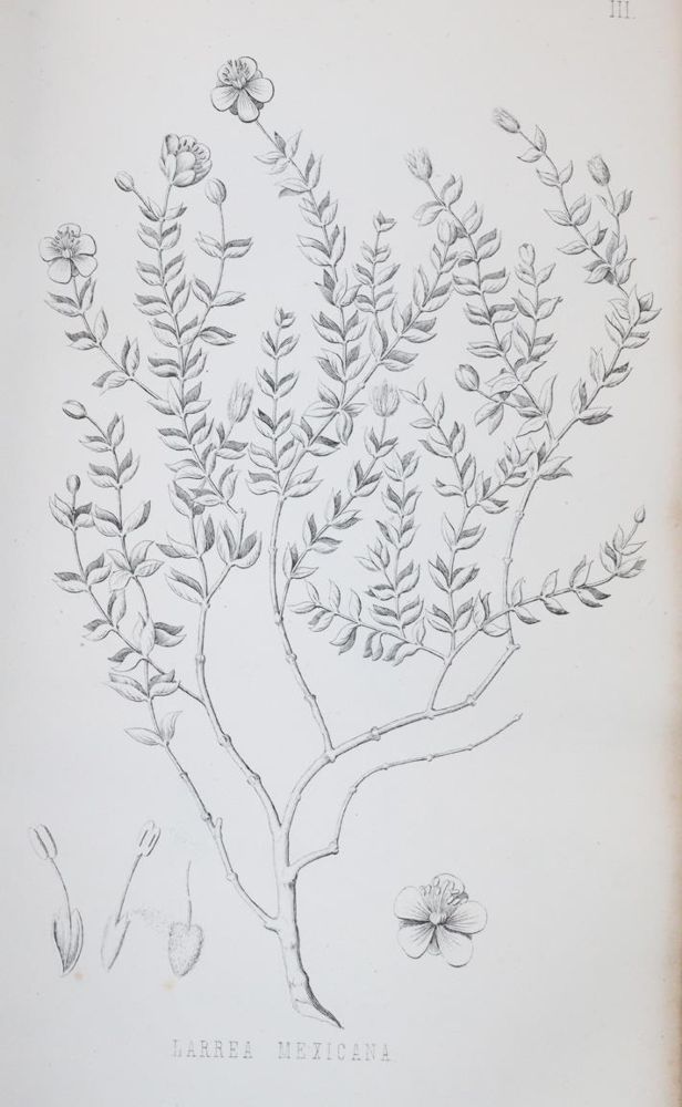Emory,W.H. – Notes of a Military Reconnoissance from Fort Leavenworth, in Missourl, to San Diego, in California, including