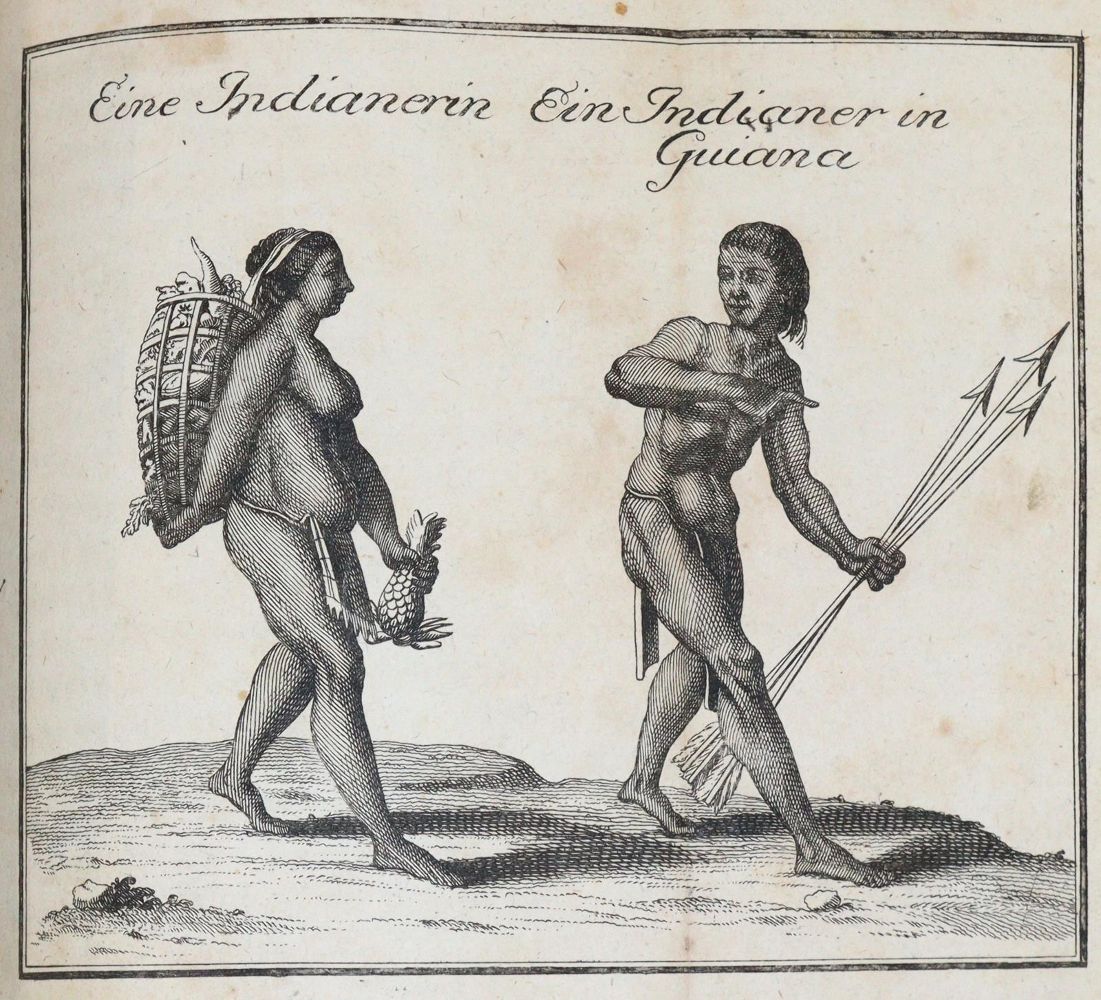 Große Abbildung Nr.5: 145-1648 Sammlung: (Amerika)