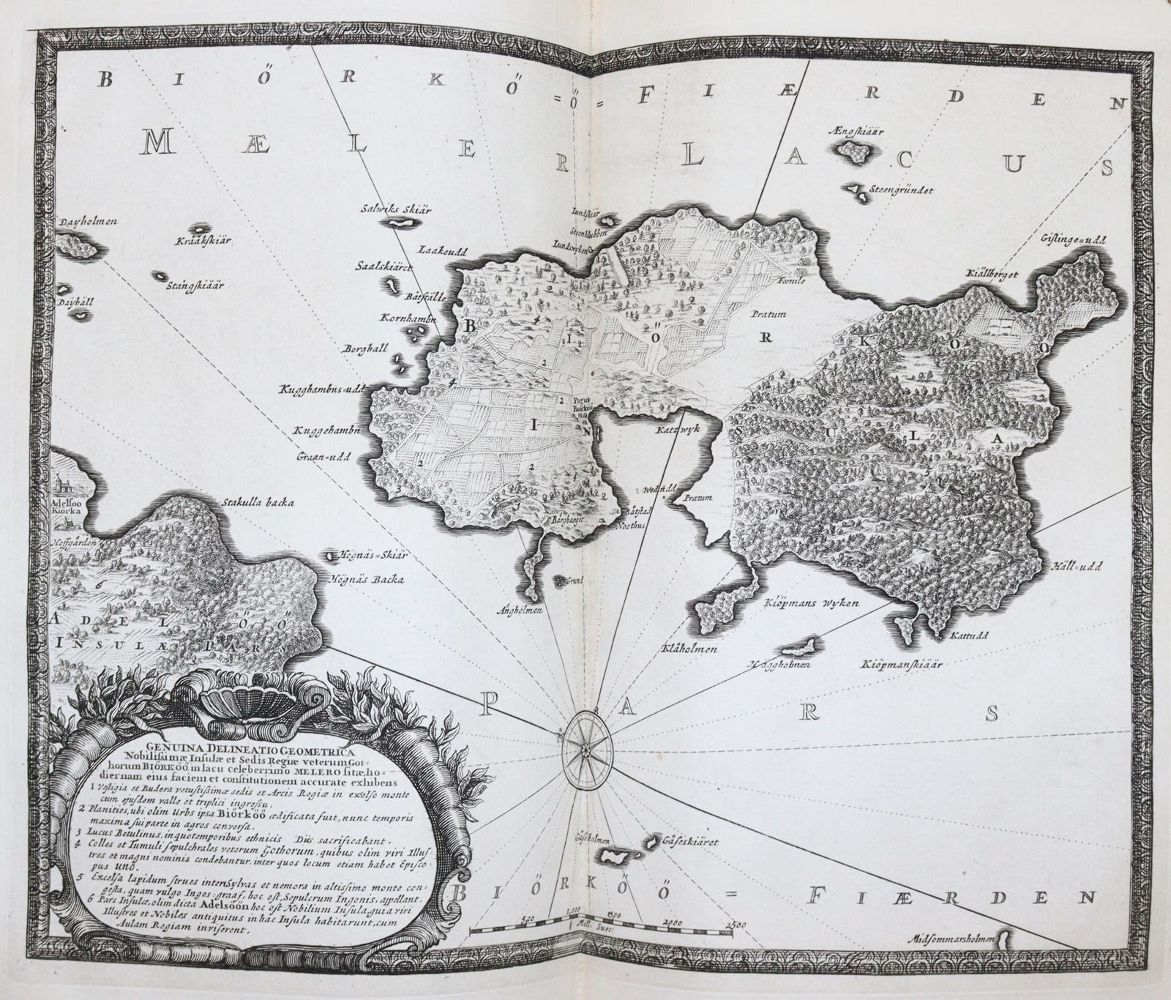 Große Abbildung Nr.10: 145-1655 (Dahlberg,E.).: (Arktis-Antarktis-Nordländer, Schweden)
