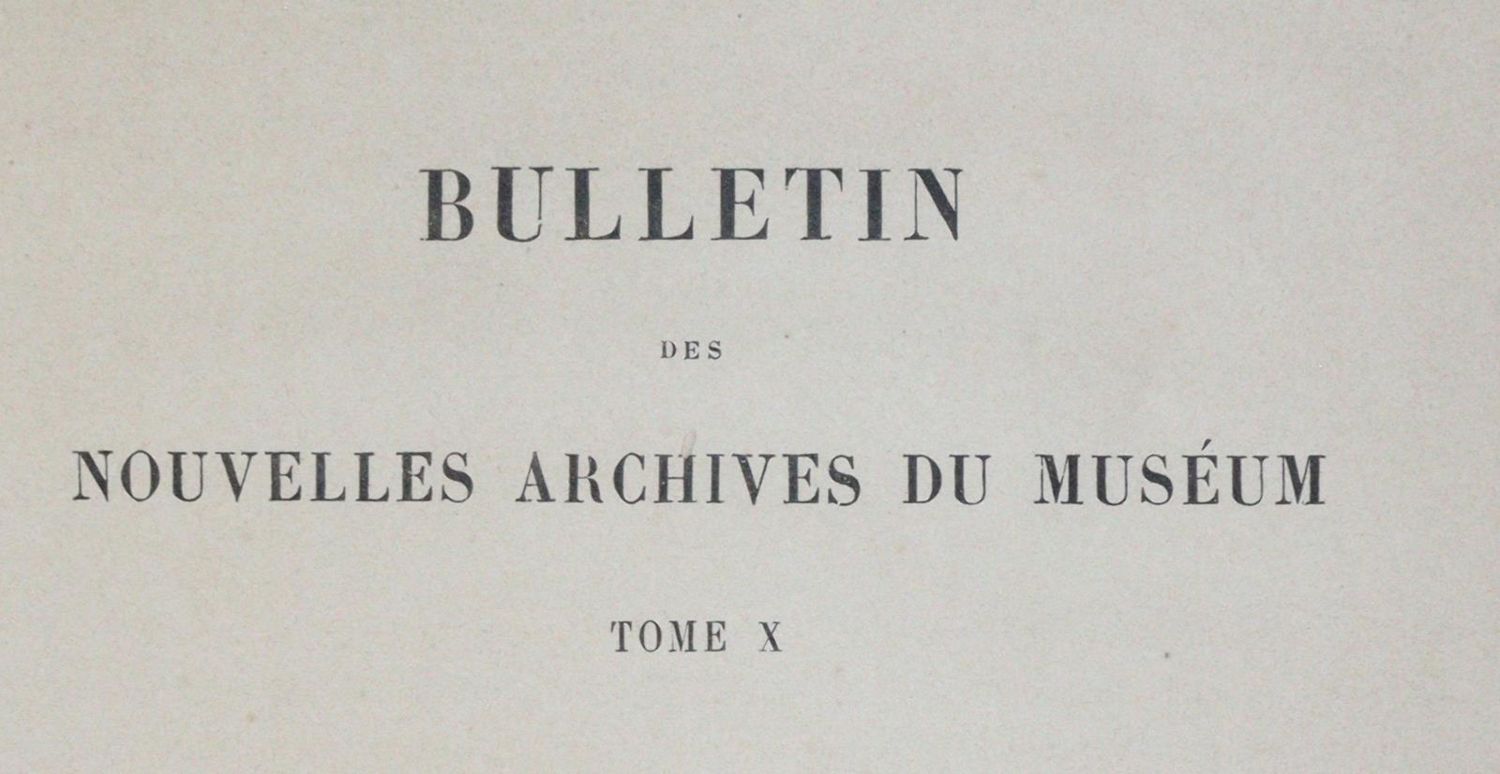 Große Abbildung Nr.3: 145-1663 David,A.: (Asien, China)
