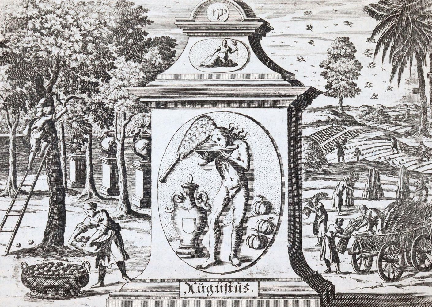 Große Abbildung Nr.3: 145-168 Lachneaulicus (d.i. A.B.Filzhofer).: (Old and rare books, manuscripts)