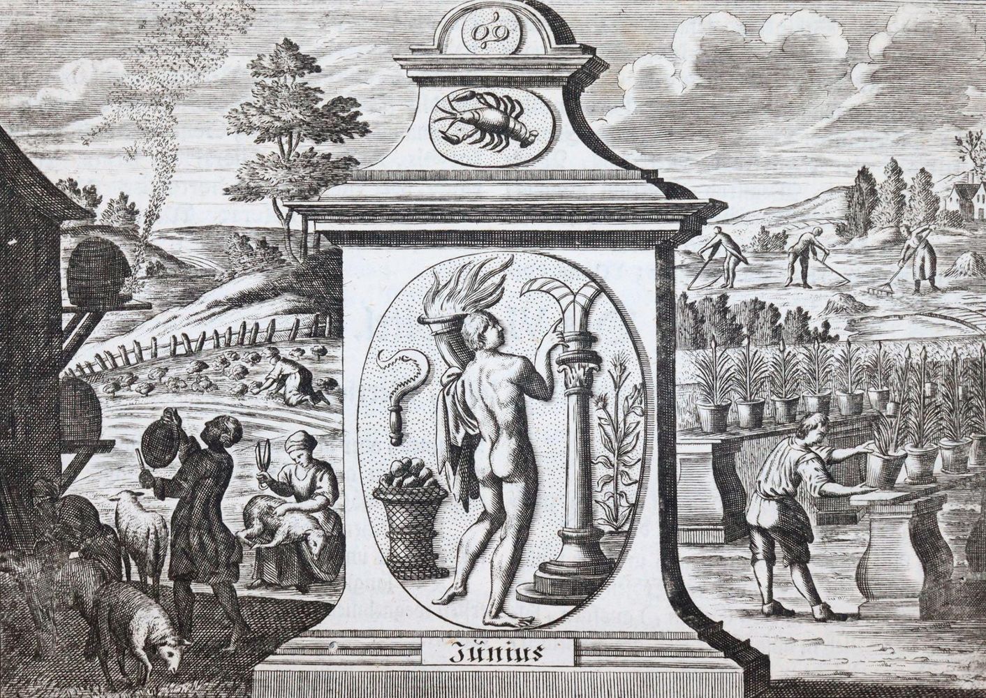Große Abbildung Nr.5: 145-168 Lachneaulicus (d.i. A.B.Filzhofer).: (Old and rare books, manuscripts)