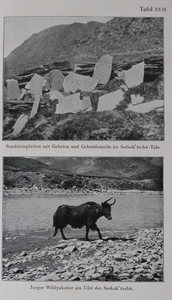 Große Abbildung Nr.1: 145-1682 Landor,H.S.: (Asien, Tibet)