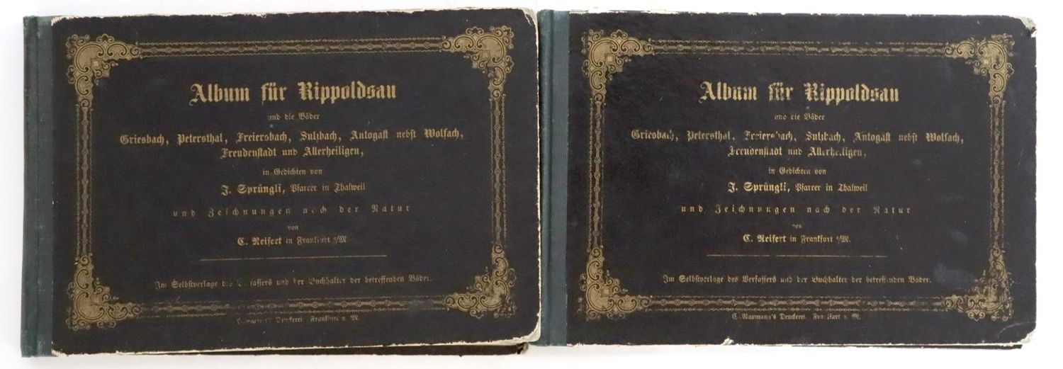 Große Abbildung Nr.2: 145-1805 Sprüngli,J.: (Deutschland, Rippoldsau, Griesbach)