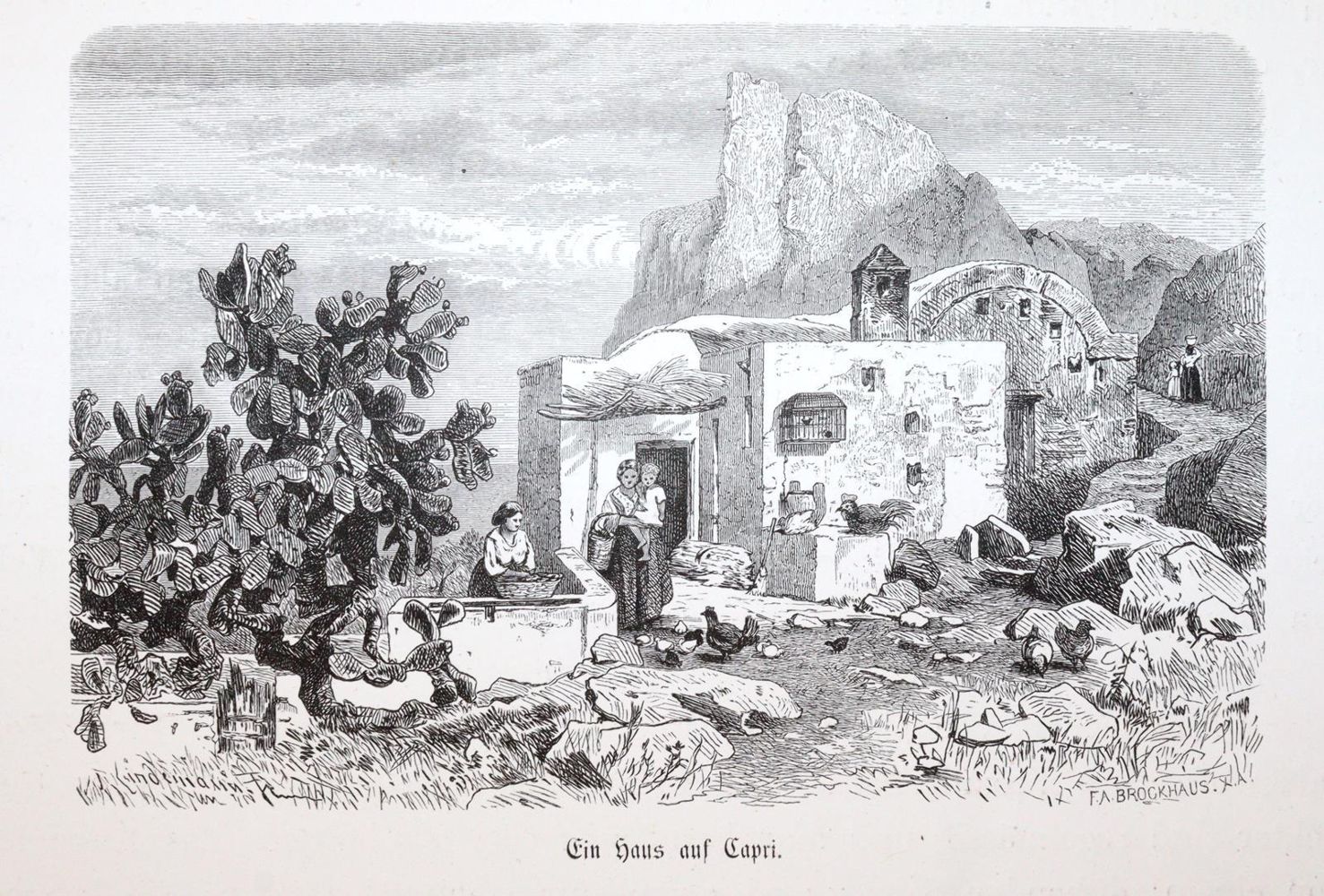 Große Abbildung Nr.4: 145-1876 Gregorovius,F.: (Italien, Capri)