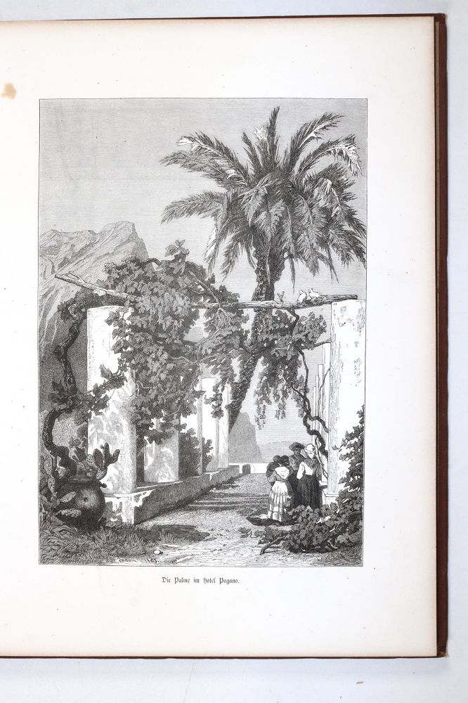 Große Abbildung Nr.3: 145-1877 Gregorovius,F.: (Italien, Capri)