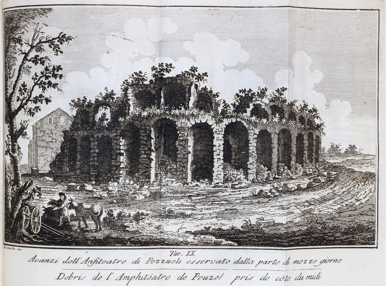 Große Abbildung Nr.2: 145-1924 Panvini,P.: (Italien, Pozzuoli)