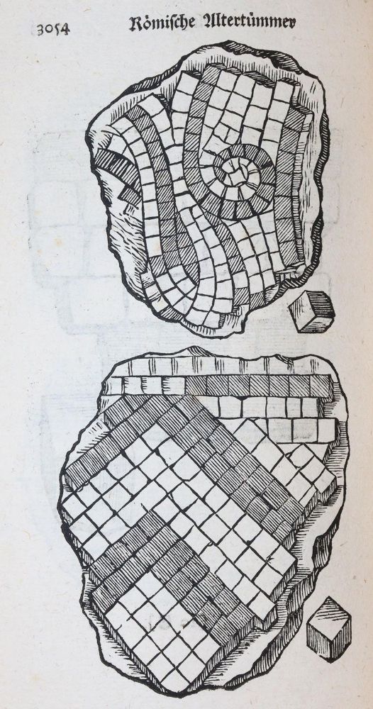 Große Abbildung Nr.5: 145-1963 (Bruckner,D.).: (Schweiz)