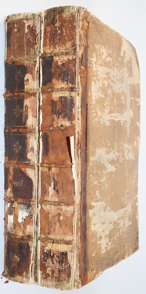 Große Abbildung Nr.2: 145-250 Pasini,G.: (Old and rare books, manuscripts)