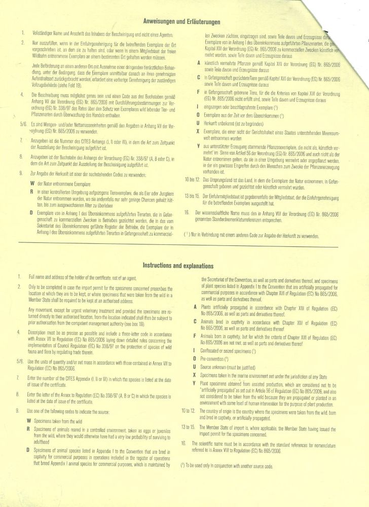 Große Abbildung Nr.31: 145-2598 Anbetungszene: (Religiöse Volkskunst)