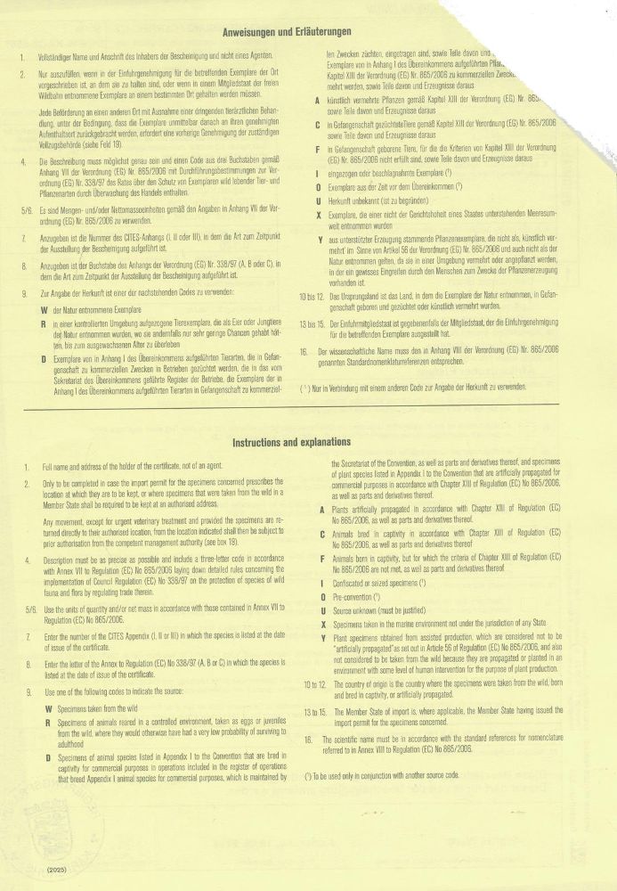 Große Abbildung Nr.31: 145-2602 Devotionsfigur: (Religiöse Volkskunst)