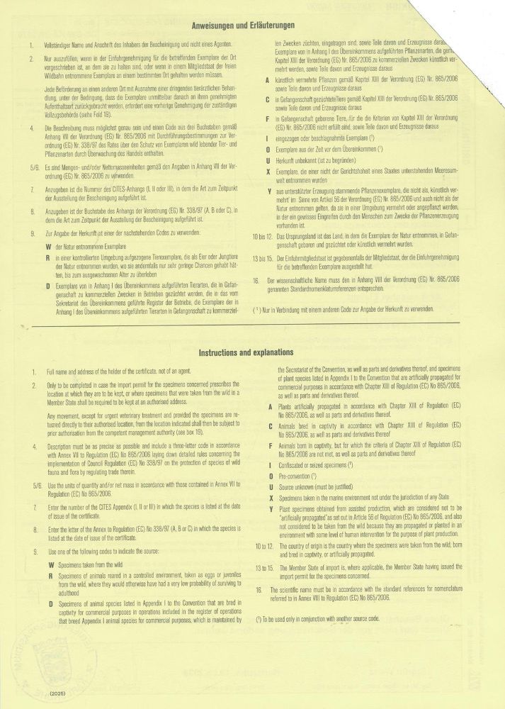 Große Abbildung Nr.31: 145-2614 Kreuzweg Christi.: (Religiöse Volkskunst)