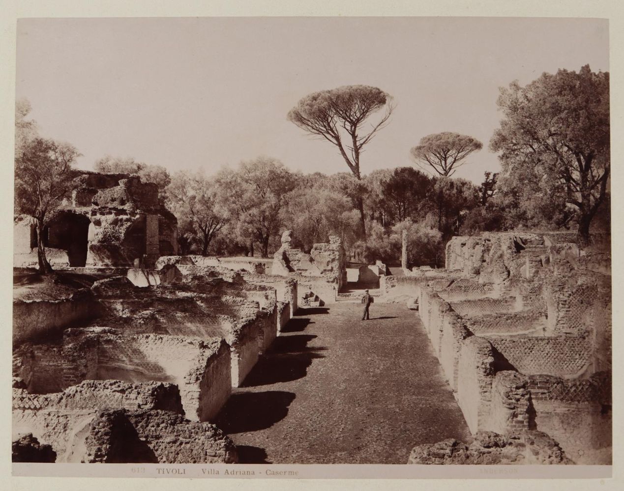 Große Abbildung Nr.5: 145-2844 Anderson, James: (Italien)