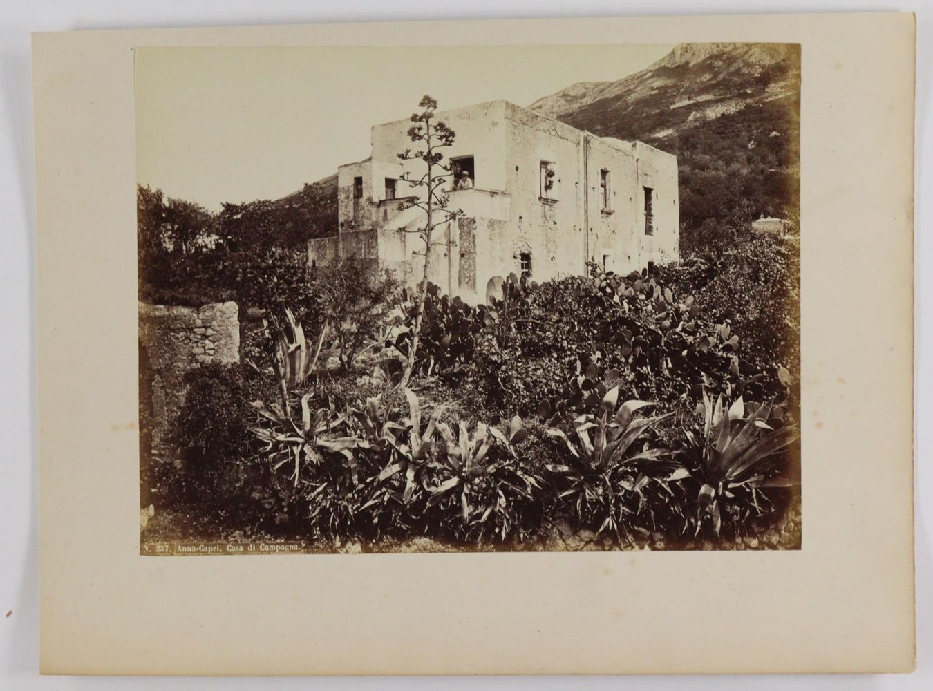 Große Abbildung Nr.7: 145-2850 Capri.: (Italien)