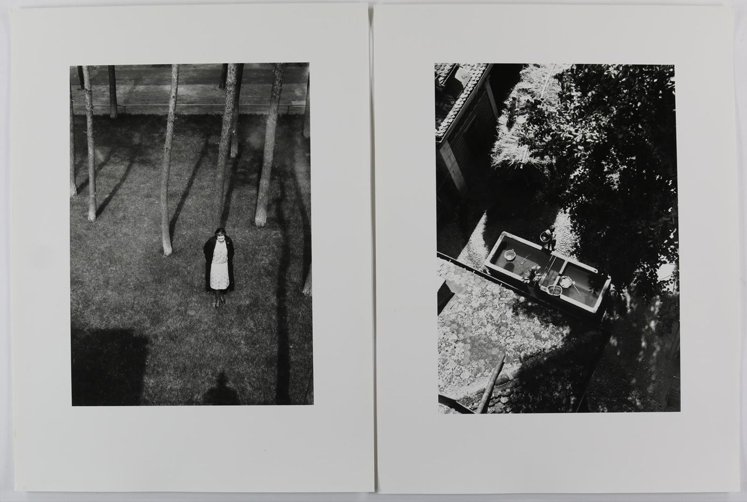 Große Abbildung Nr.6: 145-2962 Moholy-Nagy, László: (Photografs)