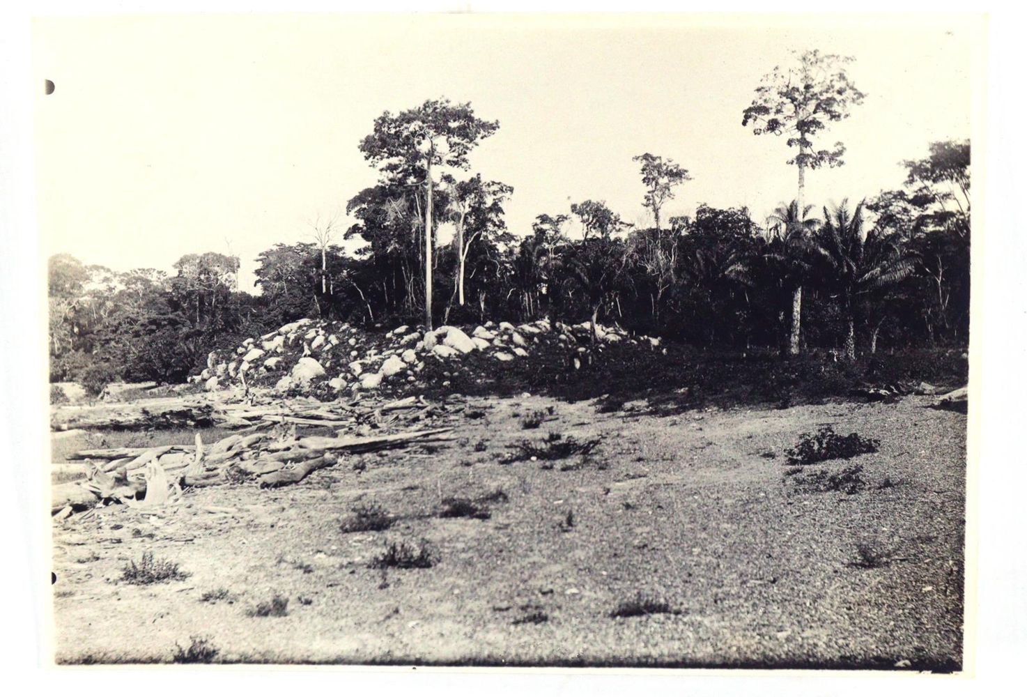 Große Abbildung Nr.7: 145-3018 Cachuela Esperanza: (Südamerika, Bolivien)