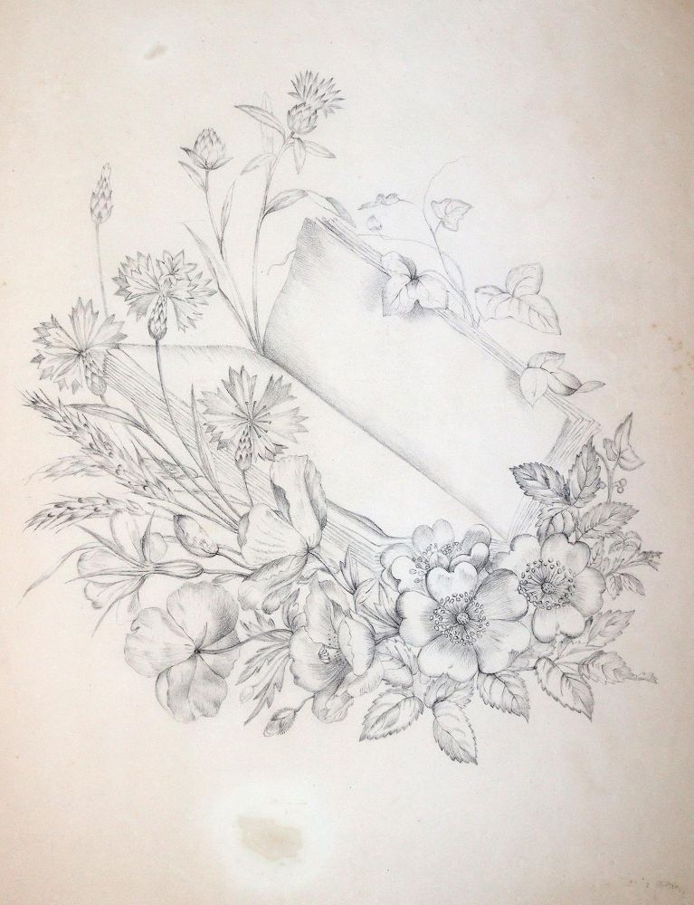 Große Abbildung Nr.4: 145-3068 Blumen.: (Varia, Botanik)
