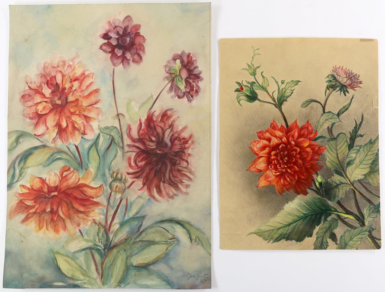Große Abbildung Nr.3: 145-3069 Blumen.: (Varia, Botanik)