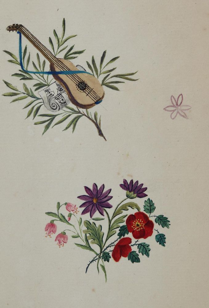 Große Abbildung Nr.9: 145-3070 Blumen und Ornamente.: (Varia, Botanik)