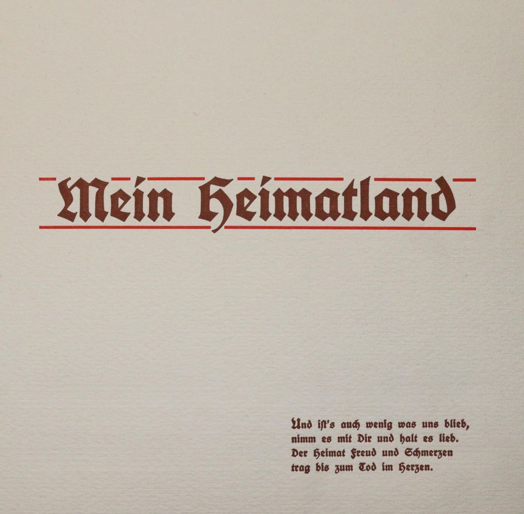 Große Abbildung Nr.3: 145-3074 Mein Schluchsee-Herbarium.: (Varia, Botanik)