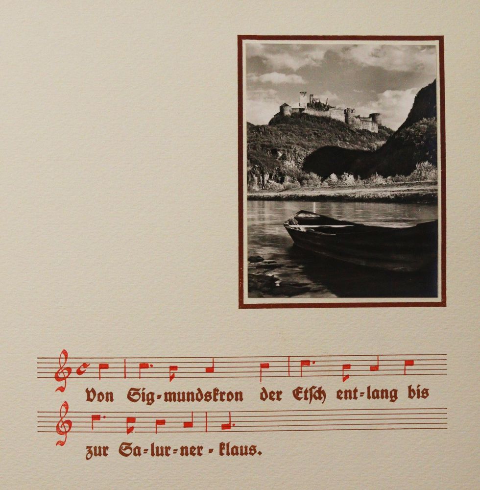 Große Abbildung Nr.4: 145-3074 Mein Schluchsee-Herbarium.: (Varia, Botanik)