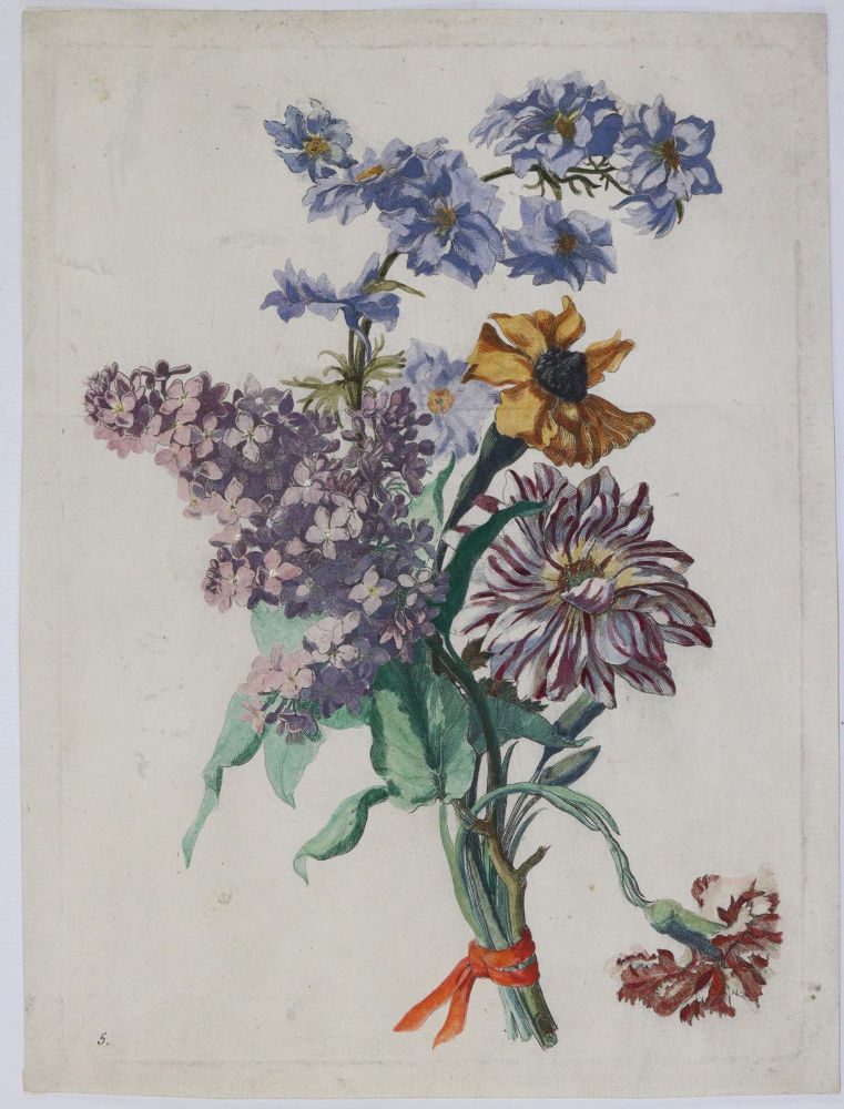Große Abbildung Nr.3: 145-3075 Merian, Maria Sibylla: (Varia, Botanik)
