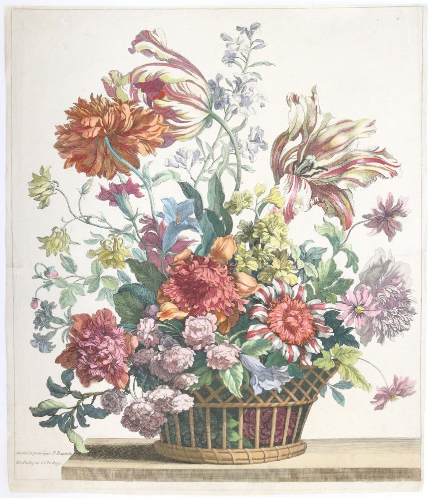 Große Abbildung Nr.4: 145-3075 Merian, Maria Sibylla: (Varia, Botanik)