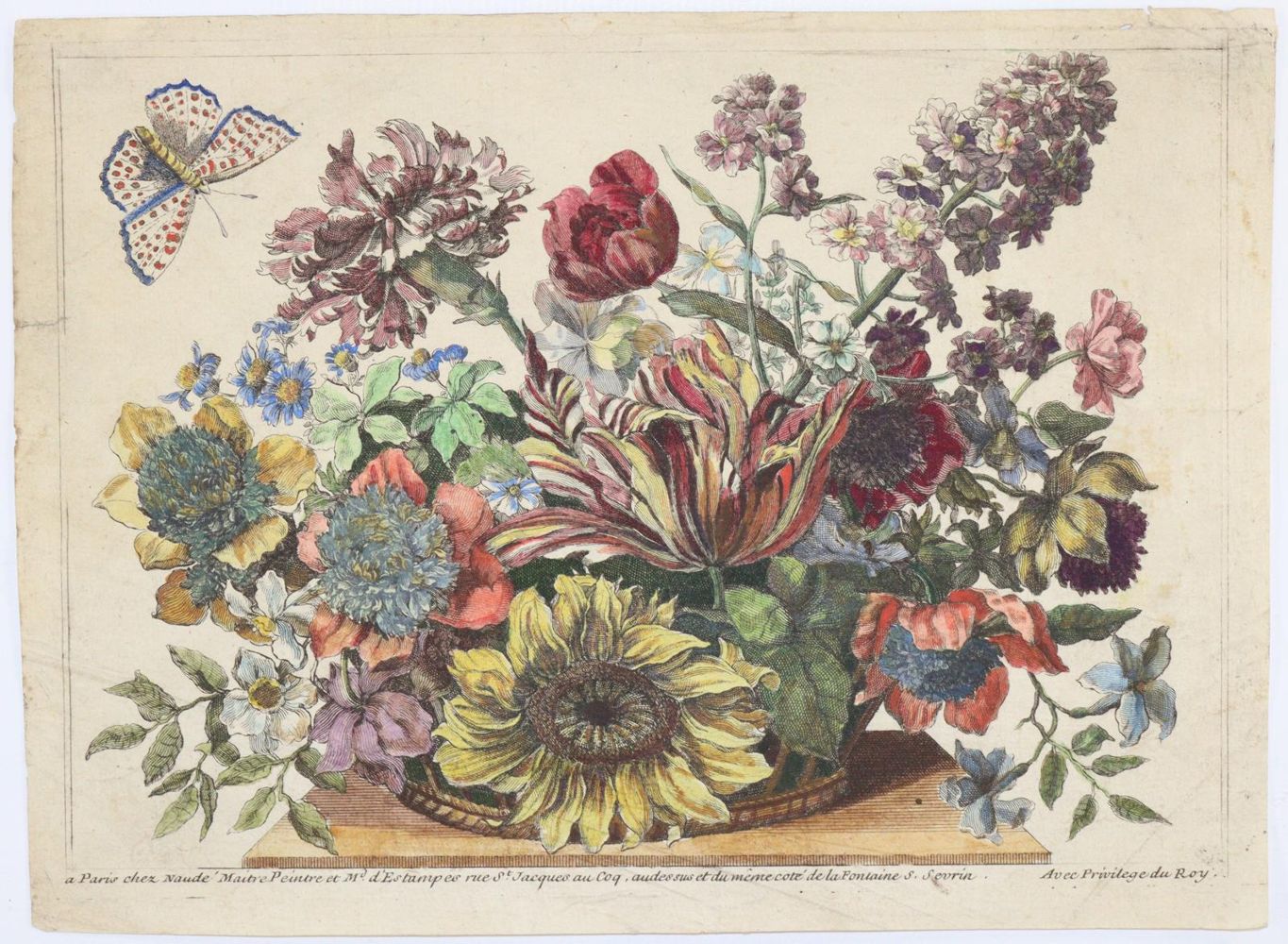 Große Abbildung Nr.6: 145-3075 Merian, Maria Sibylla: (Varia, Botanik)