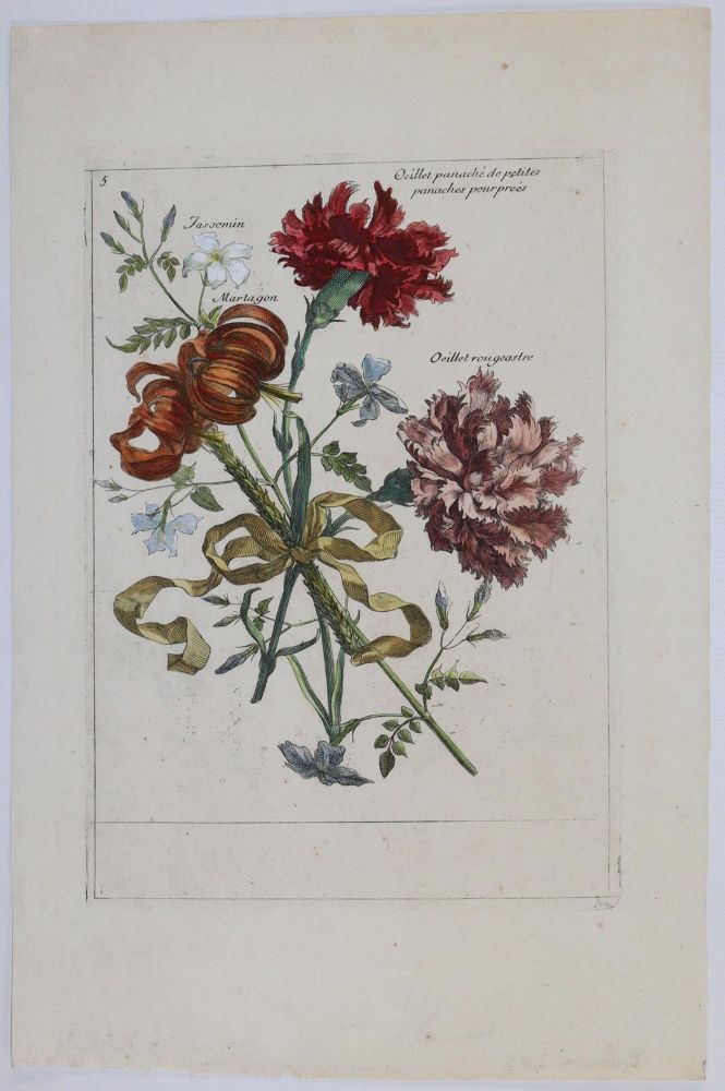 Große Abbildung Nr.8: 145-3075 Merian, Maria Sibylla: (Varia, Botanik)