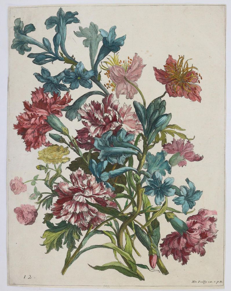 Große Abbildung Nr.9: 145-3075 Merian, Maria Sibylla: (Varia, Botanik)