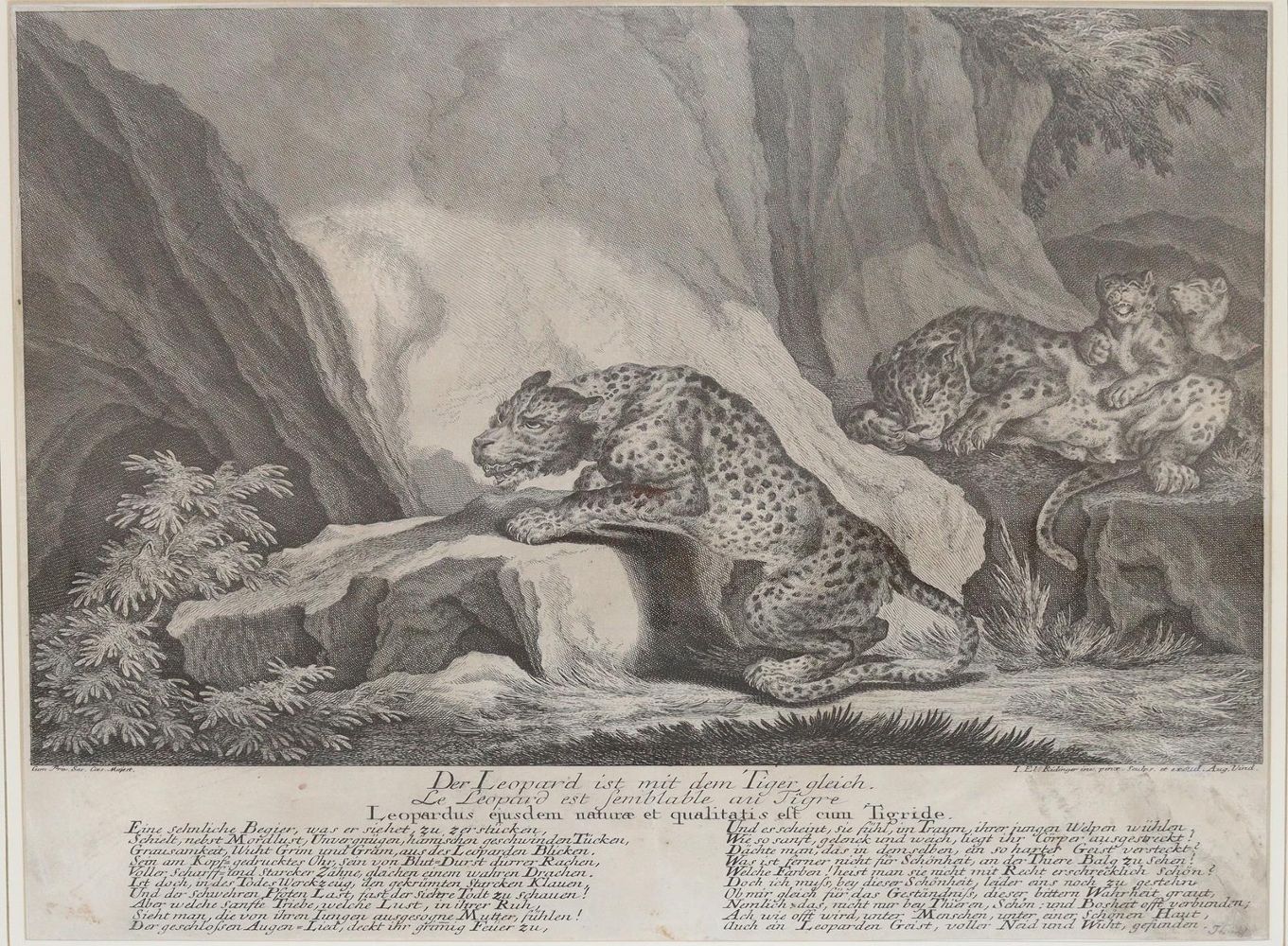 Große Abbildung Nr.1: 145-3119 Ridinger, Johann Elias: (Varia, Jagd)