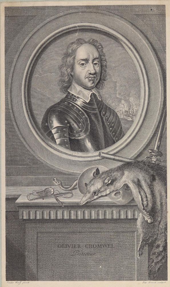 Große Abbildung Nr.2: 145-3193 Werff, Adriaen van der: (Varia, Portrait)