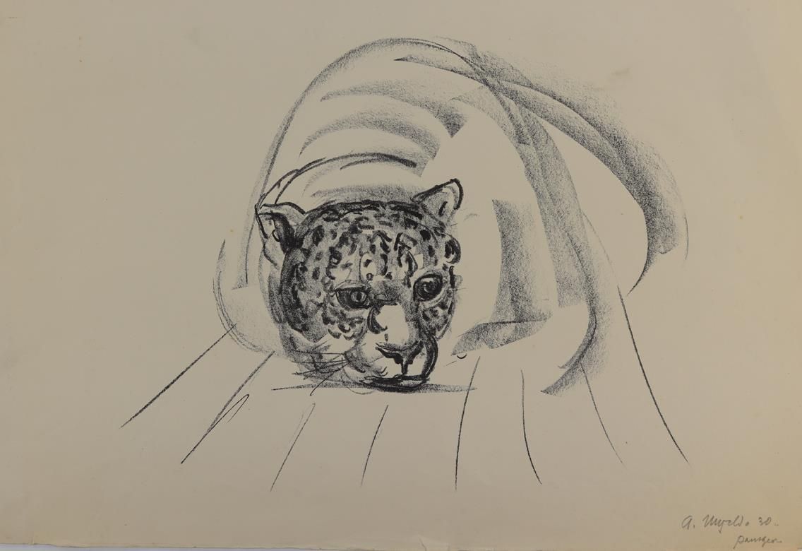 Große Abbildung Nr.1: 145-3225 Panther,: (Varia, Zoologie)