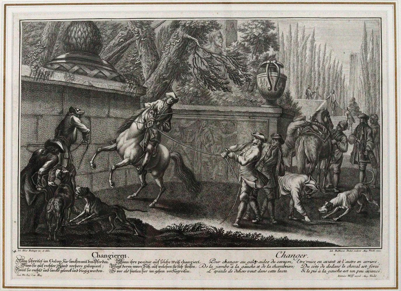 Große Abbildung Nr.4: 145-3228 Riedinger, Johann Elias: (Varia, Zoologie)