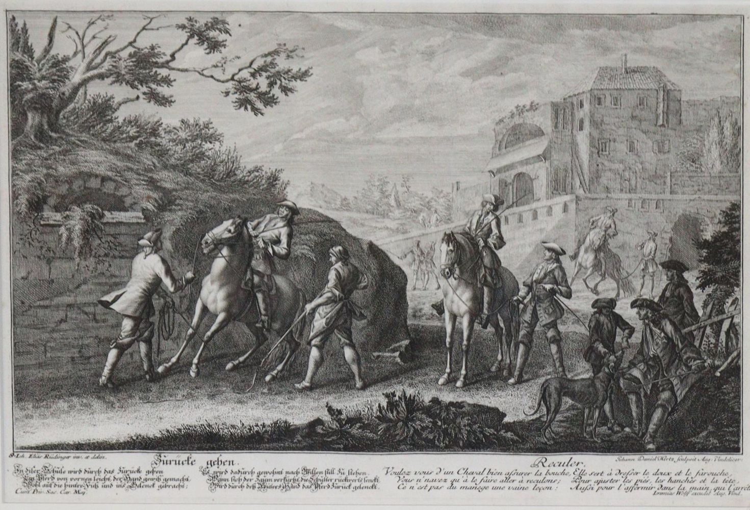 Große Abbildung Nr.7: 145-3228 Riedinger, Johann Elias: (Varia, Zoologie)
