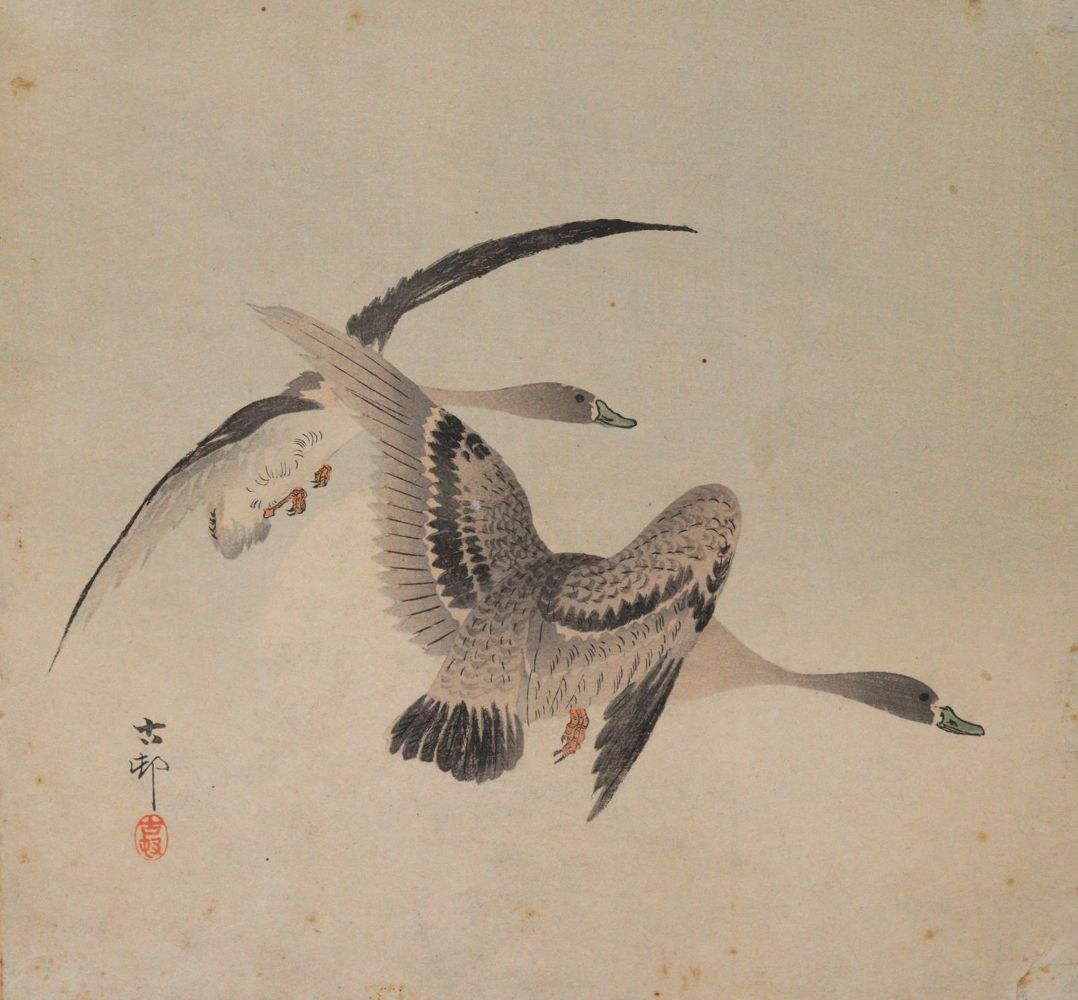 Große Abbildung Nr.1: 145-3231 Koson, Ohara: (Varia, Zoologie, Vögel)