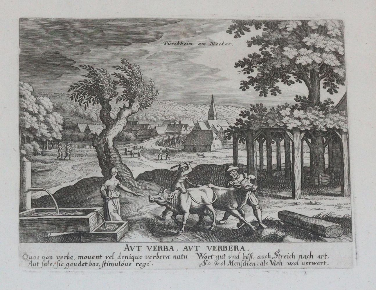 Große Abbildung Nr.3: 145-3321 Konstanz.: (Deutschland)