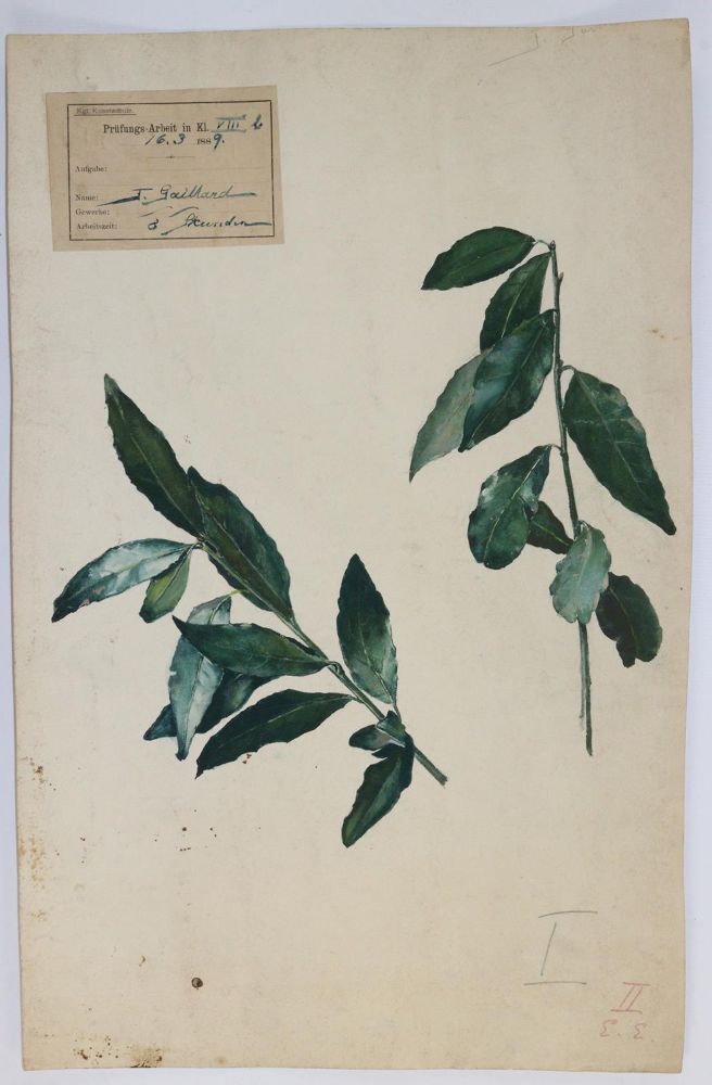 Große Abbildung Nr.6: 145-4204 Jauslin, Karls: (Künstlergraphik)