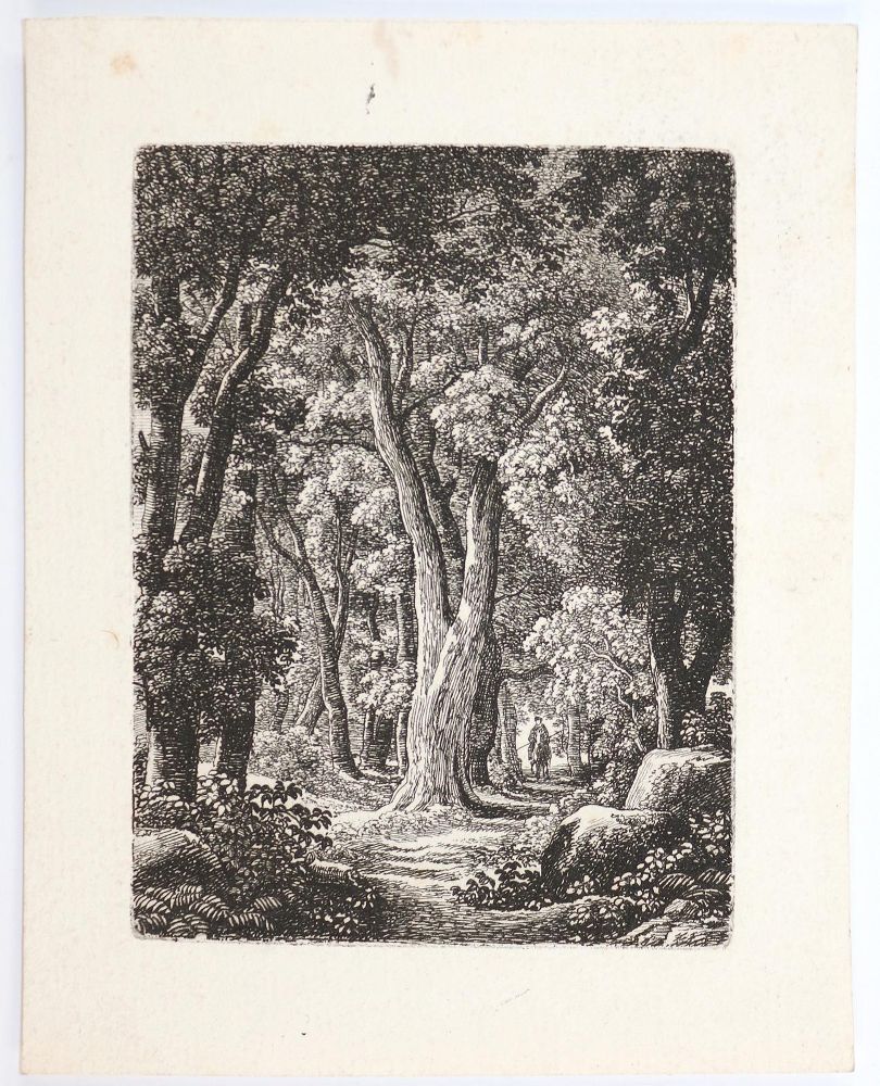 Große Abbildung Nr.1: 145-4621 Reinhart, Johann Christian: (Künstlergraphik)