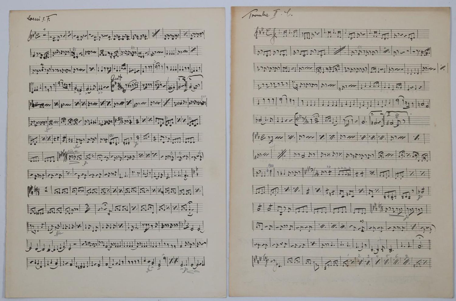 Große Abbildung Nr.10: 145-482 Schreinzer,K.: (Musik)