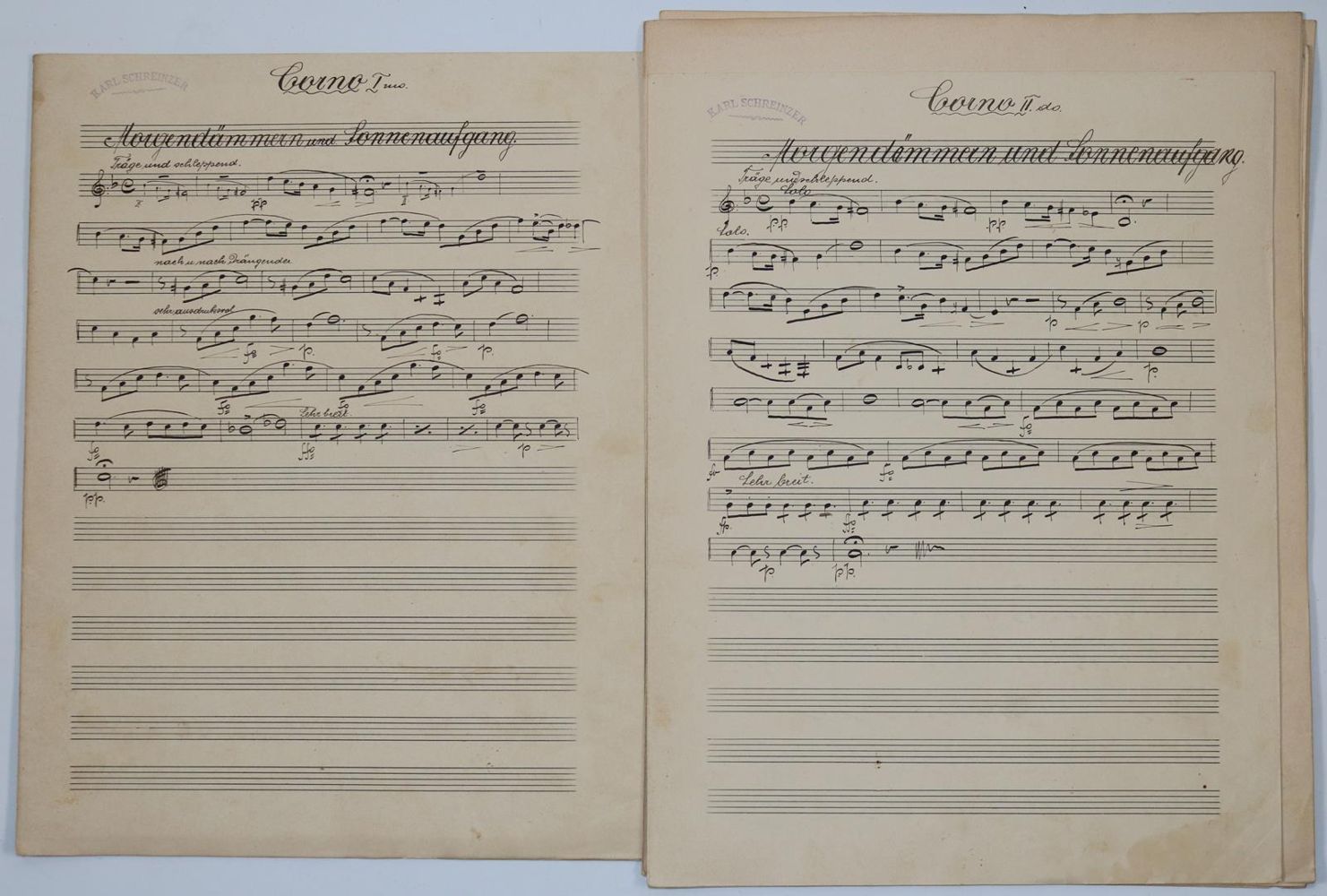 Große Abbildung Nr.8: 145-482 Schreinzer,K.: (Musik)