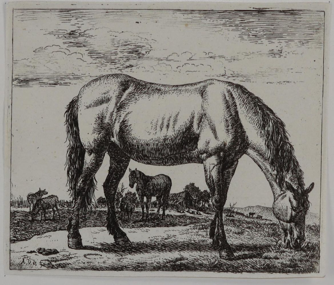 Große Abbildung Nr.1: 145-4920 Van de Velde, Adriaen: (Künstlergraphik)