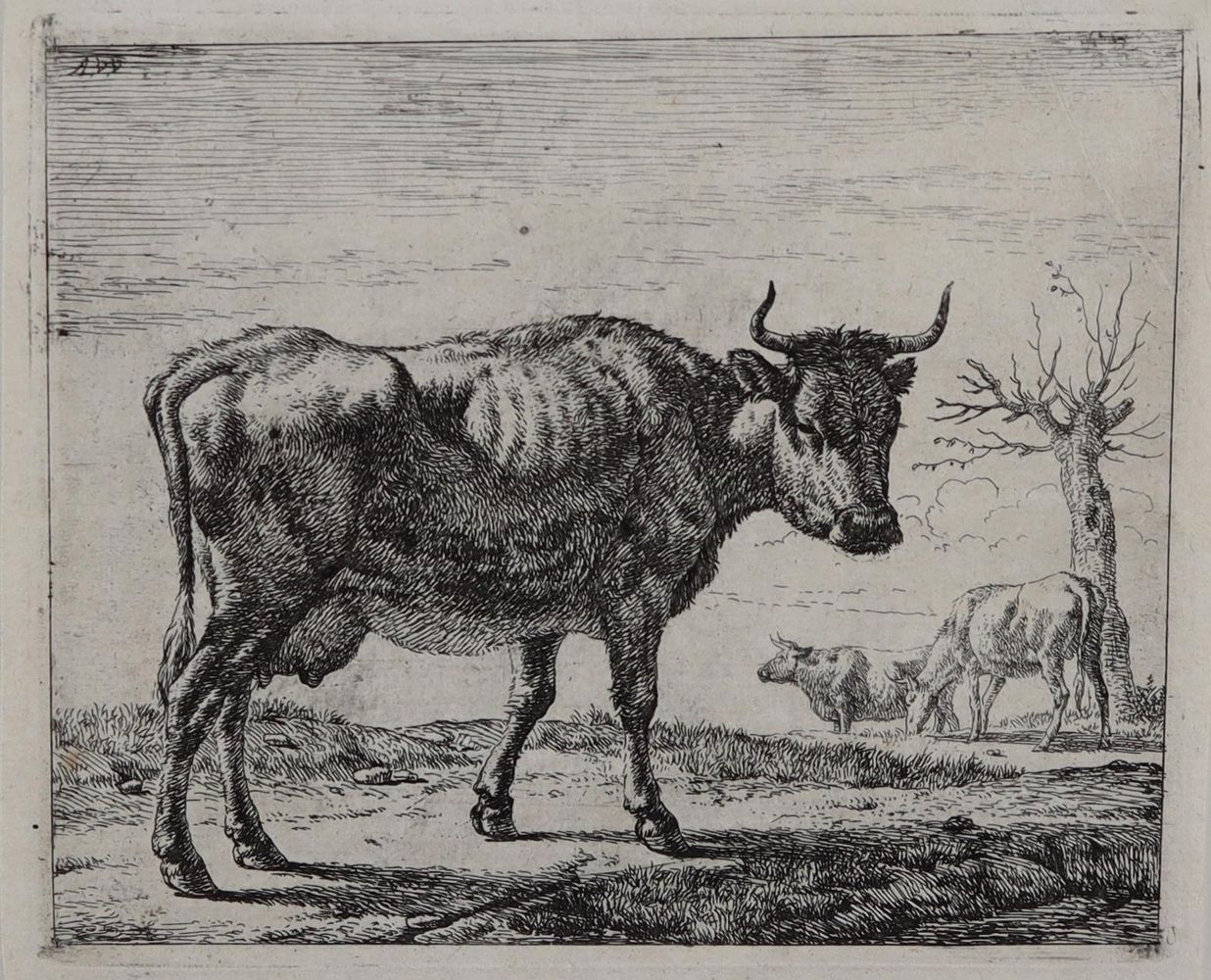 Große Abbildung Nr.2: 145-4920 Van de Velde, Adriaen: (Künstlergraphik)