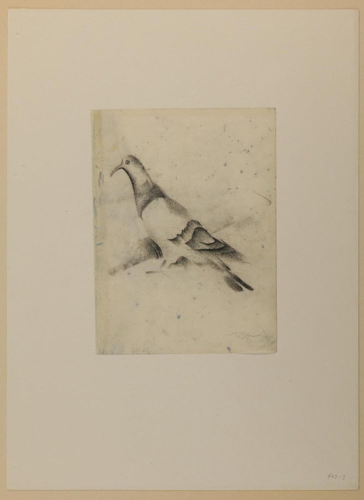 Große Abbildung Nr.1: 145-5012 Ziegler, Richard: (Künstlergraphik)