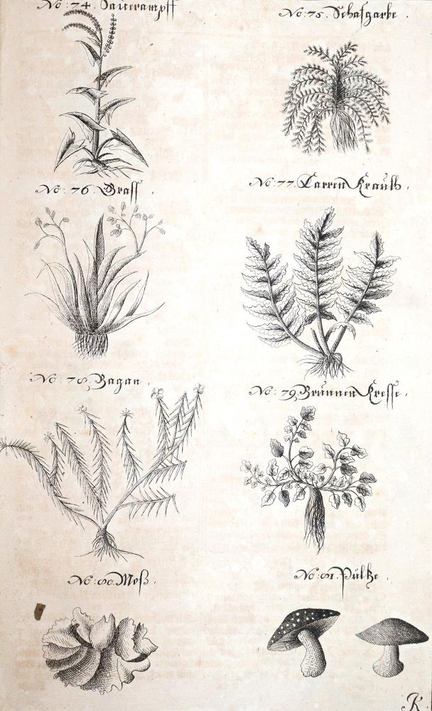 Große Abbildung Nr.3: 145-531 Fleming,H.F.v.: (Jagd)