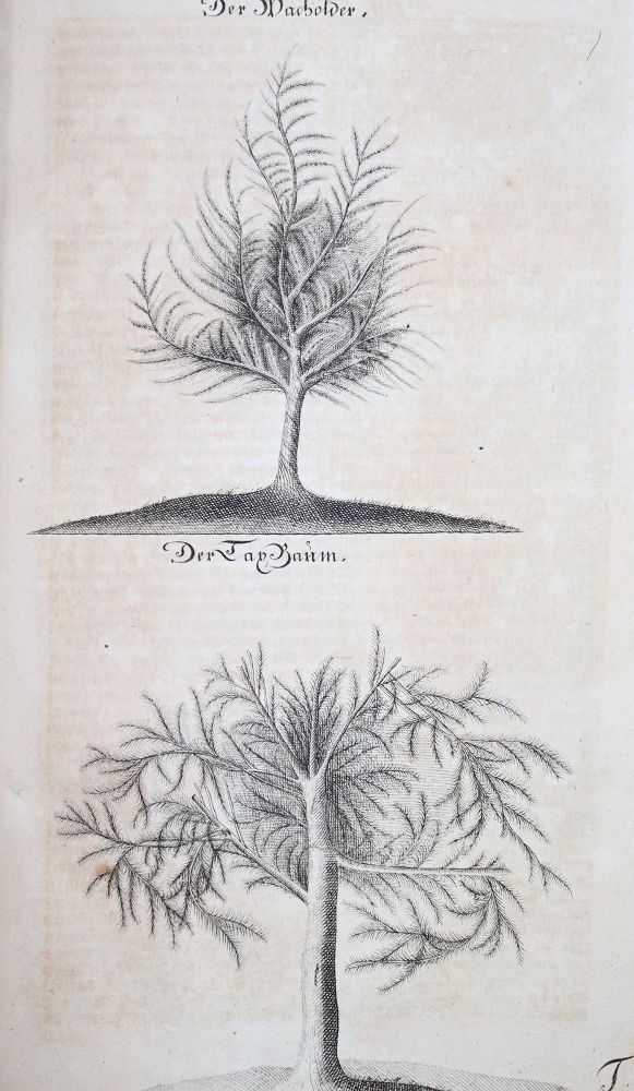 Große Abbildung Nr.4: 145-531 Fleming,H.F.v.: (Jagd)